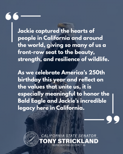 Senator Strickland’s Senate Resolution 140 honoring Jackie the Bald Eagle Passes with Bipartisan Support