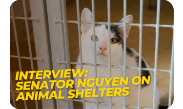 KABC Radio interviews Senator Janet Nguyen on animal shelter bills