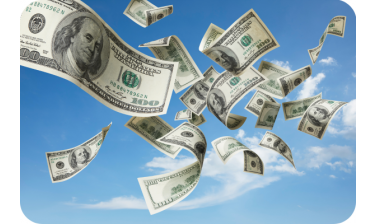 Financial Waste
