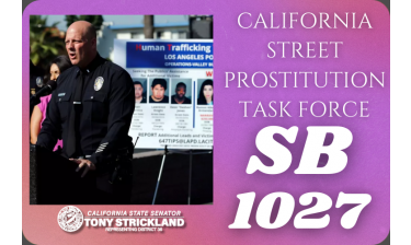 Senate Bill 1027 (California Street Prostitution Task Force)