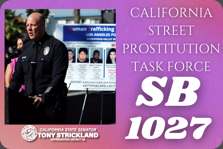 Senate Bill 1027 (California Street Prostitution Task Force)
