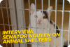 KABC Radio interviews Senator Janet Nguyen on animal shelter bills